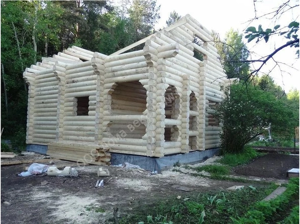 Баня из осины