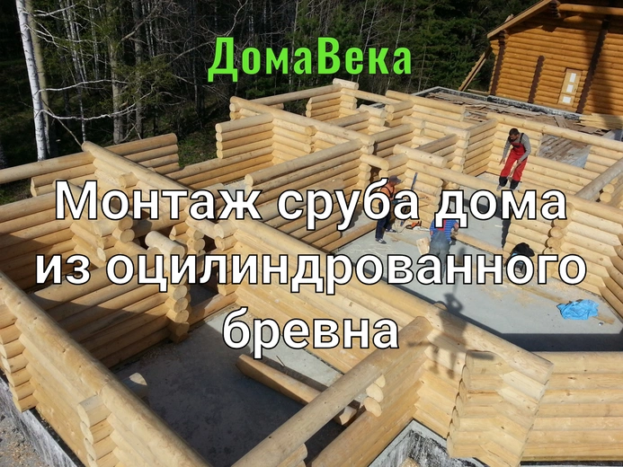 Монтаж сруба дома из оцилиндрованного бревна: этапы работы от «Дома Века»